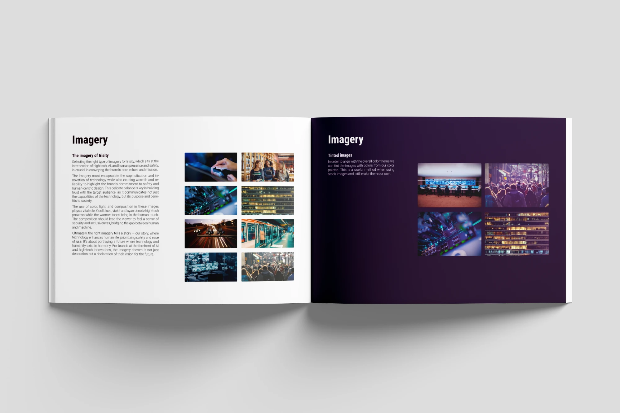 Irisity graphic profile and brand guide spread